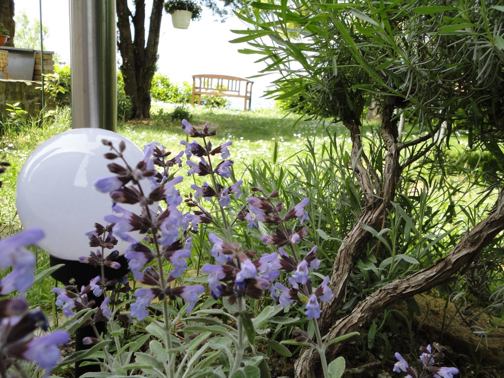 Apartments Ritosa Izola Exterior photo